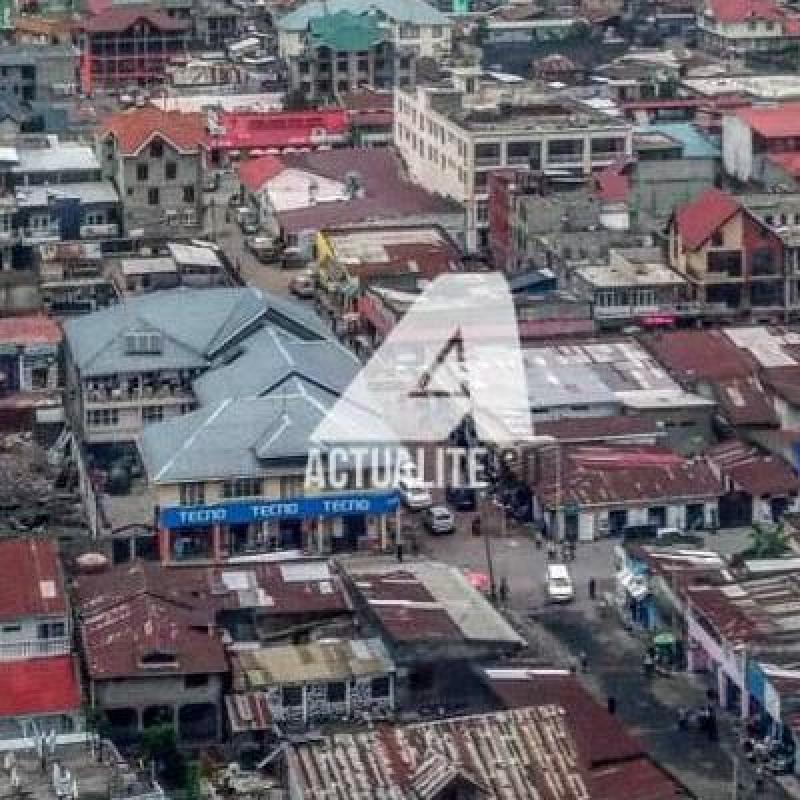 Goma-pa-zuri_0.jpg