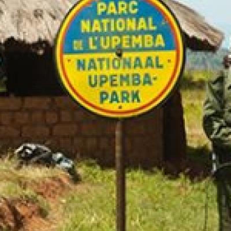 Parc-Upemba.jpg
