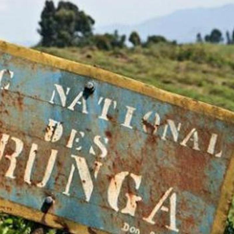Parc-des-Virunga.jpeg