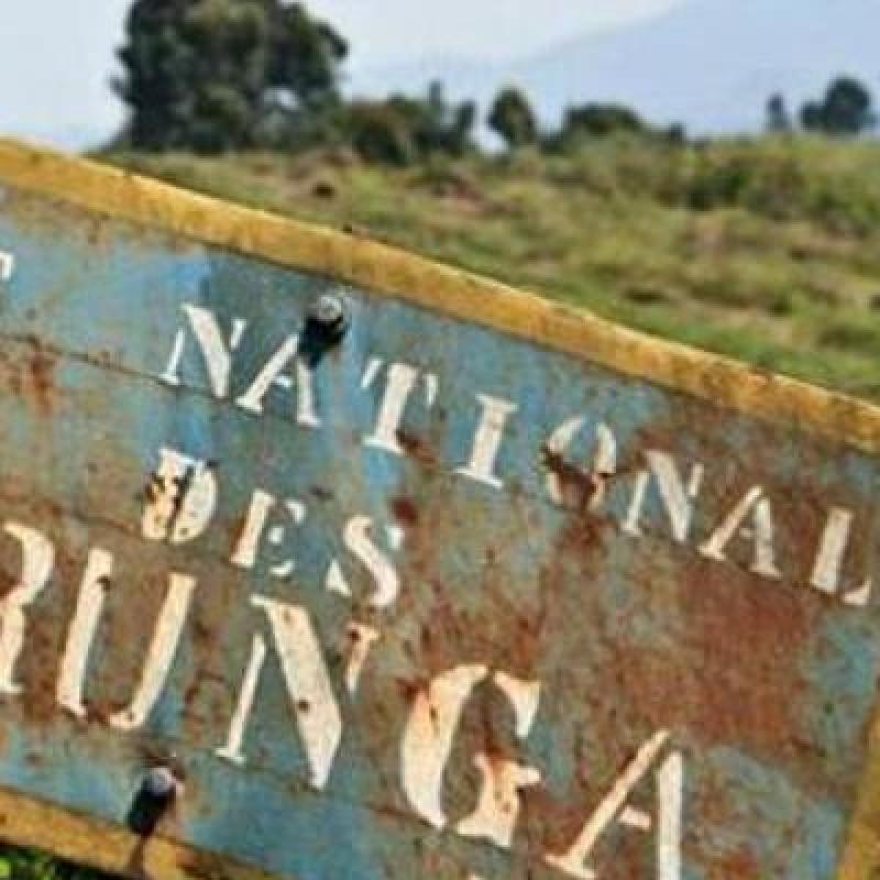 Parc-des-Virunga.jpeg
