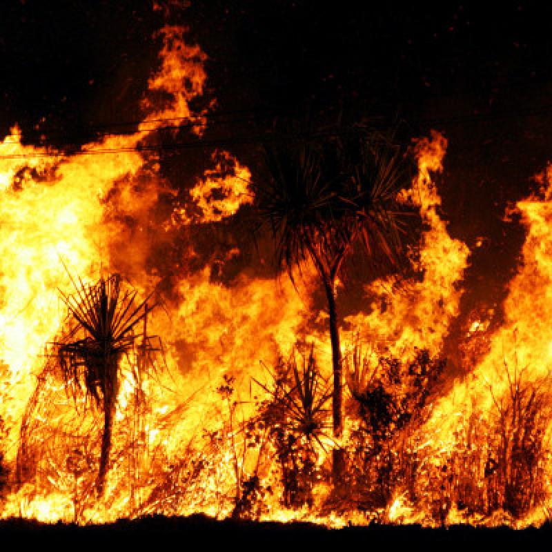 depositphotos_11453094-stock-photo-bushfire.jpg