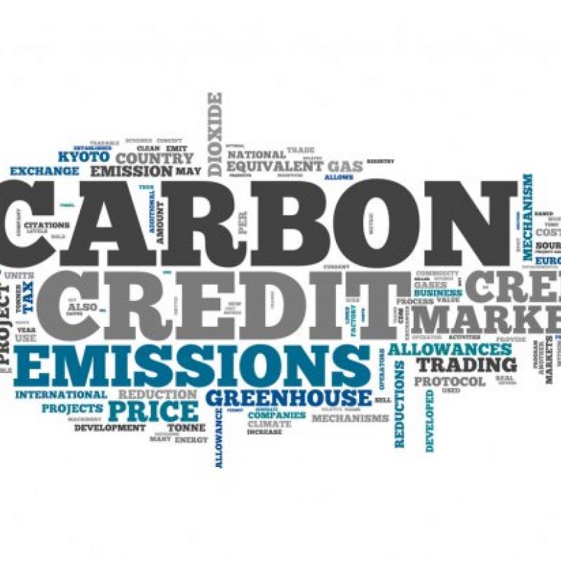 depositphotos_70498875-stock-photo-word-cloud-carbon-credit.jpg