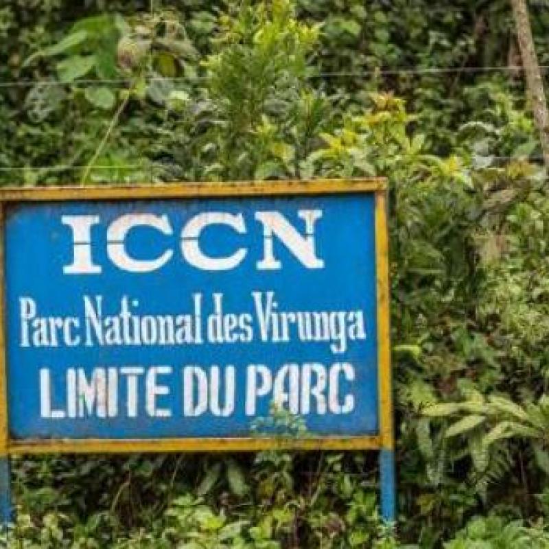 parc_national_virunga_iccn_limite_20_001_jpg_640_350_1.jpeg