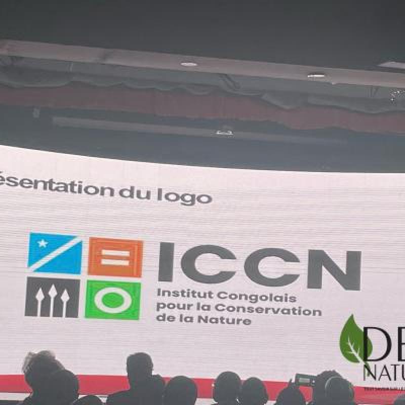 Photo d'illustration