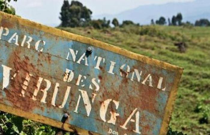 Parc-des-Virunga.jpeg