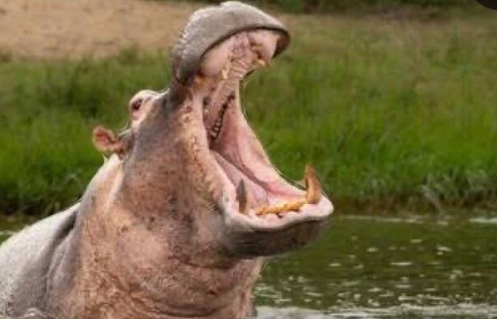 Photo d'illustration