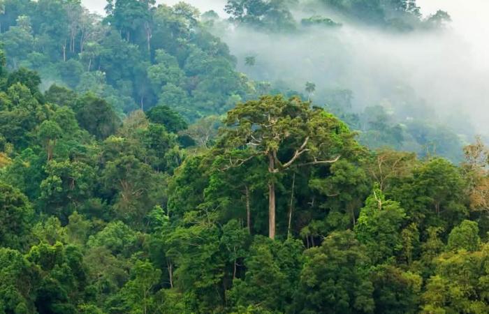 Photo d'illustration