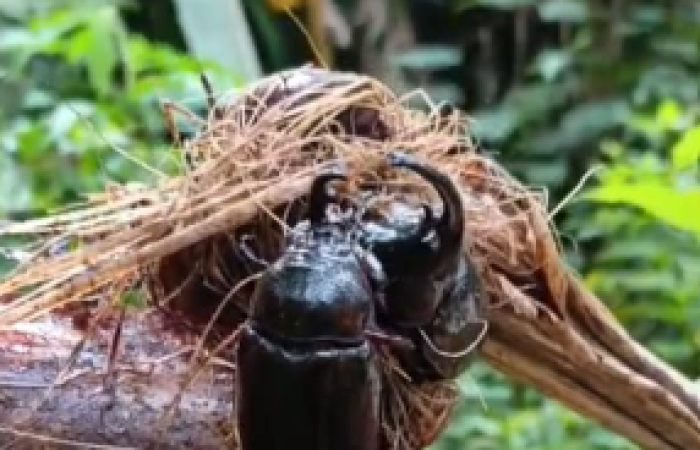 Photo d'illustration