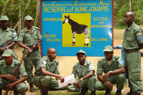 Bioparc-parc-zoologique-projet-nature-okapi-2.jpg