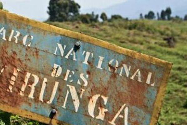 Parc-des-Virunga.jpeg
