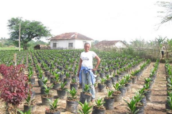 Plantation_0.jpg