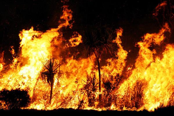 depositphotos_11453094-stock-photo-bushfire.jpg