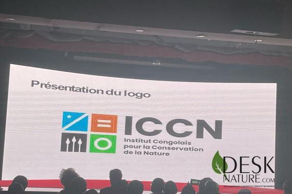 Photo d'illustration
