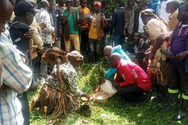 Photo d'illustration