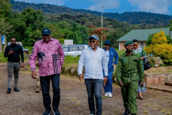 Photo d'illustrations