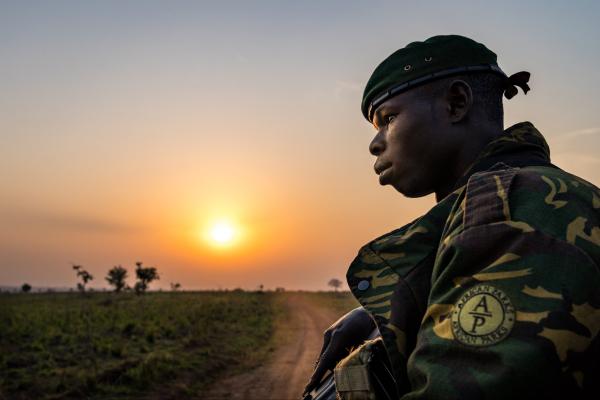 Photo d'illustration