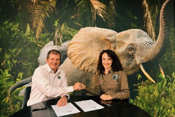 Photo d'illustration