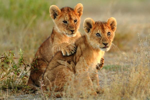 Photo d'illustration