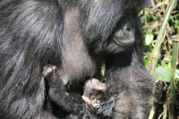 Photo d'illustration