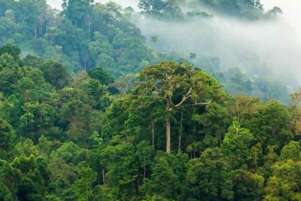 Photo d'illustration