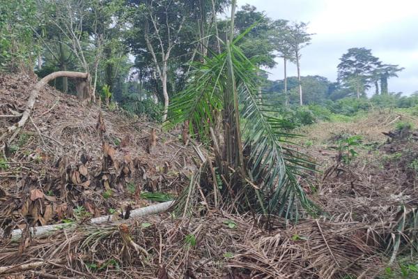 Photo d'illustration